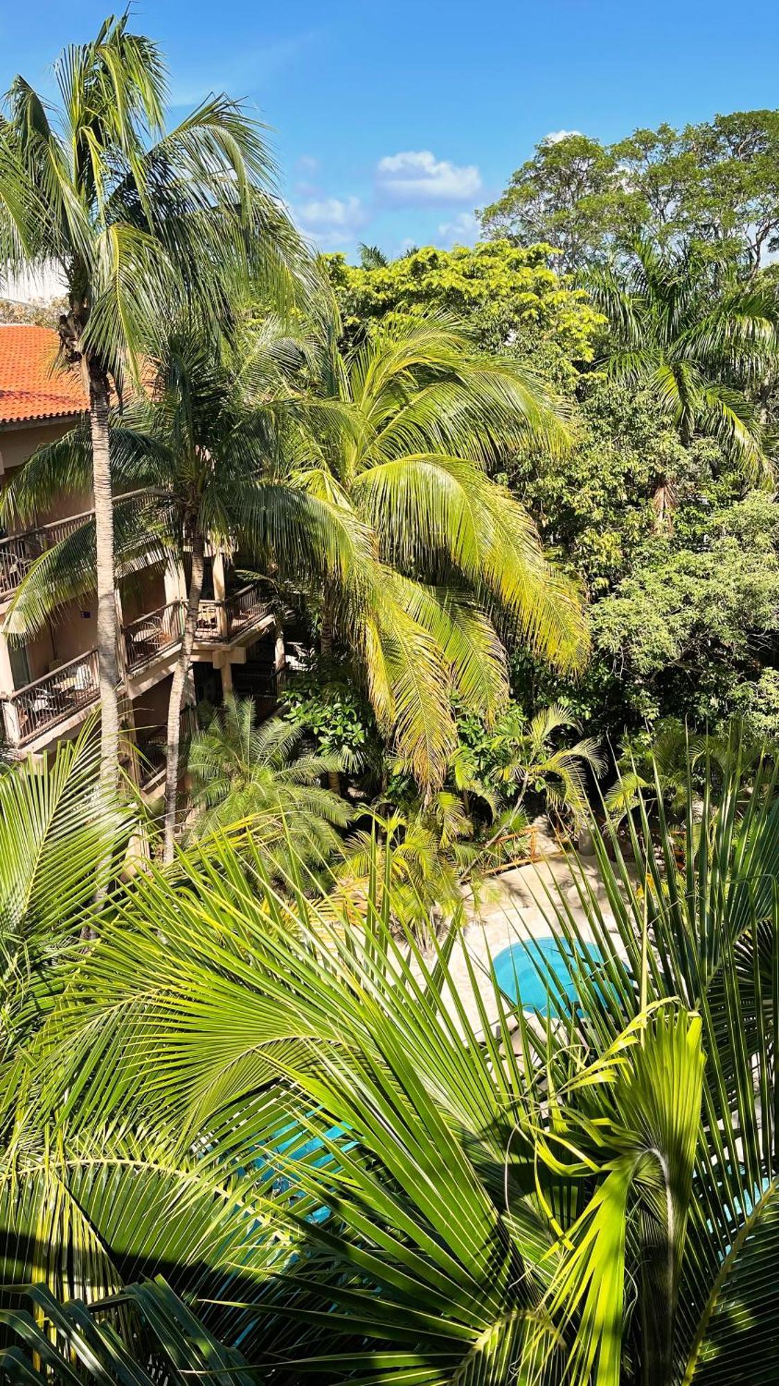 Tukan Hotel Playa Del Carmen Esterno foto